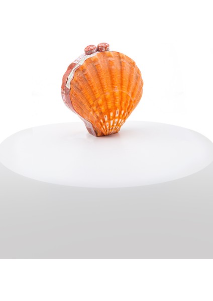 Clam LY0135 Deniz Kabuğu&sedef El Yapımı Turuncu-Pembe Çanta