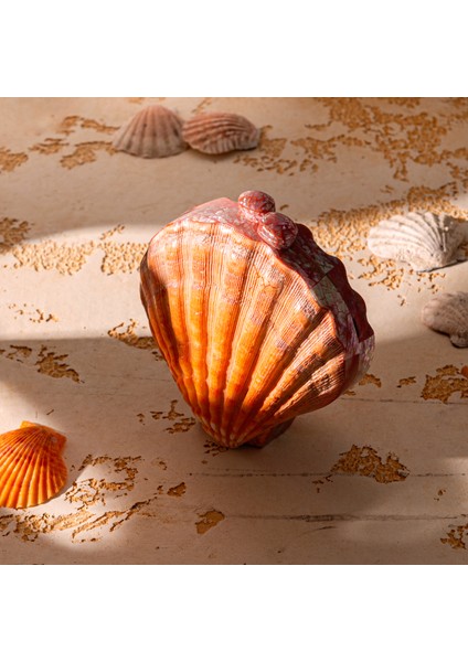 Clam LY0135 Deniz Kabuğu&sedef El Yapımı Turuncu-Pembe Çanta fırsatları