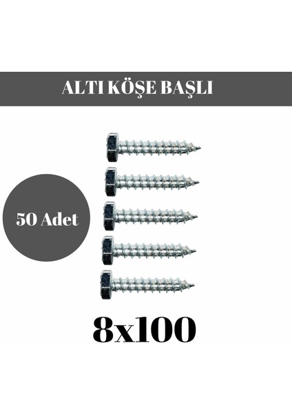 Trifon Vida 8X100 mm Altı Köşe Anahtar Başlı Vida 50'li Paket modelleri