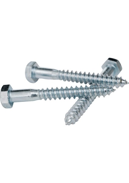 Trifon Vida 6X100 mm Altı Köşe Anahtar Başlı Vida 25'li Paket