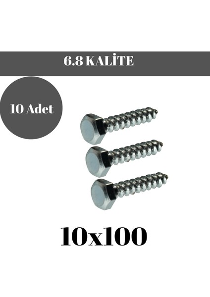 Trifon Vida 10X100 mm Altı Köşe Anahtar Başlı Vida 10'lu Paket fırsatları