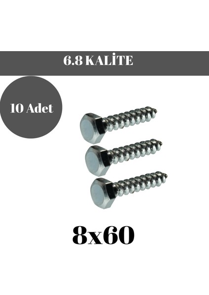 Trifon Vida 8X60 mm Altı Köşe Anahtar Başlı Vida 10'lu Paket fırsatları