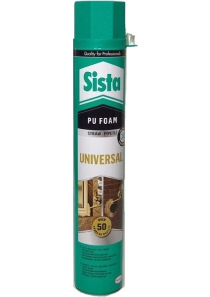 Poliüretan Köpük 750 Ml. Tr