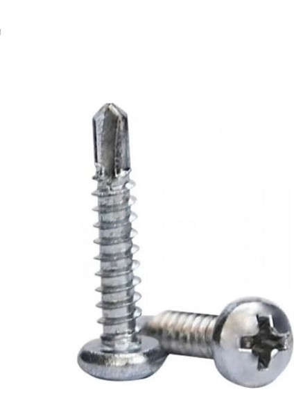 4,8X25 Ysb Matkap Uçlu Vida (100 Adet) Vida