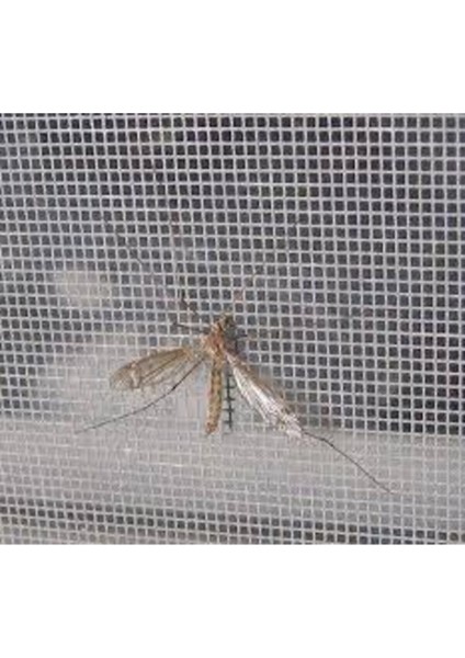 Fiberglass Hobistan Sinek Teli-Sineklik EN:120 cm ( Metre Fiyati ) 100 x 120 Menteşeli Viskon Polyes fiyatları