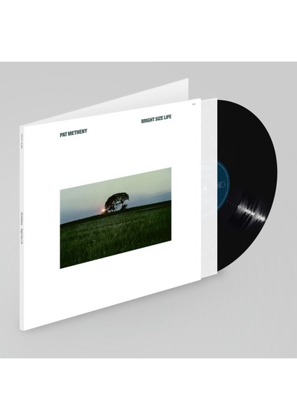 Pat Metheny Pat Metheny - Plak