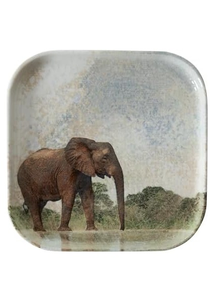 Concept Kare Tabak 17CM-ELEPHANT fiyatları