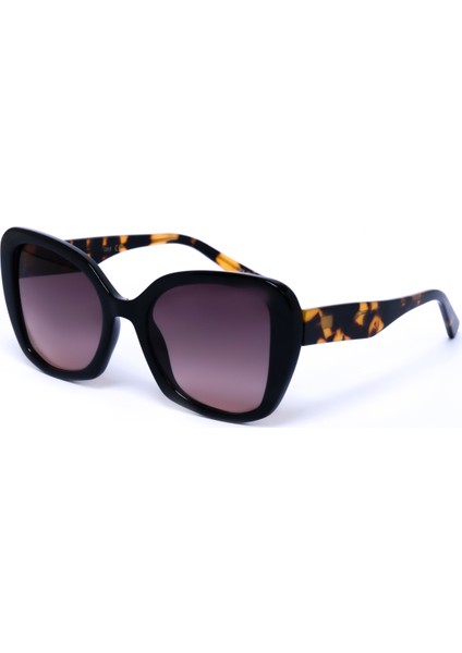 Pilook - 8401C6 - C6 modelleri