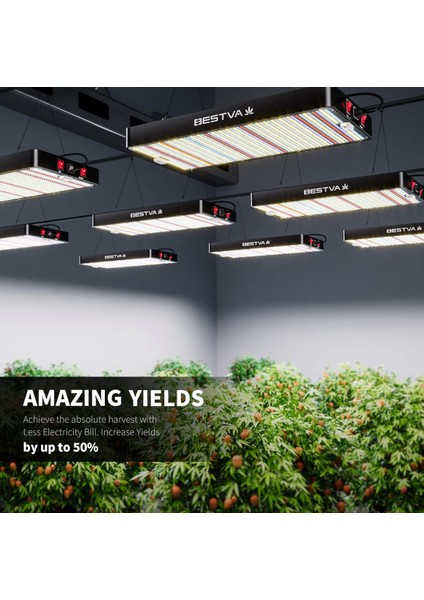DC3000W Bitki Yetiştirme Lambası Full Spectrum Bitki Yetiştirme Ledi Grow Lamp Plan Light