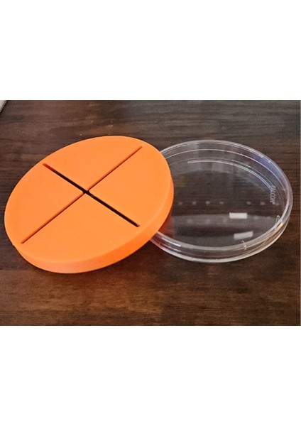 100MM Petri Tabak Çeyrek Şablon (Özelleştirilebilir Tasarım)