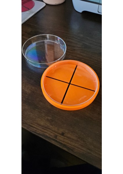 100MM Petri Tabak Çeyrek Şablon (Özelleştirilebilir Tasarım) fiyatları