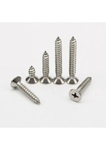 Sunta Vidası 4X60 Sunta Vidası-6 cm VIDA-100 Adet Vida