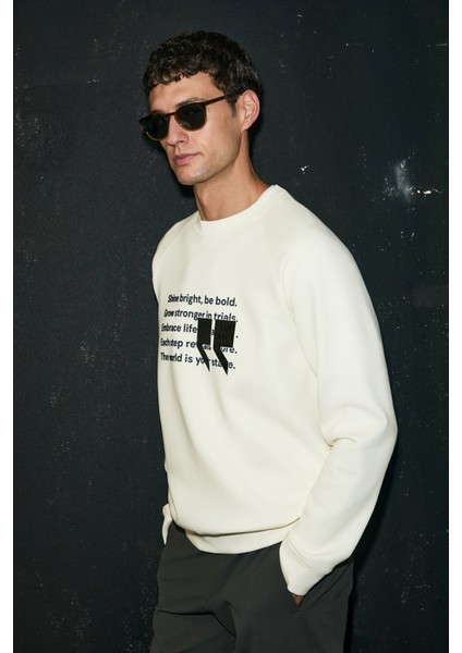 Shadow Erkek Sweatshirt 112030174 Kirik Beyaz fiyatları