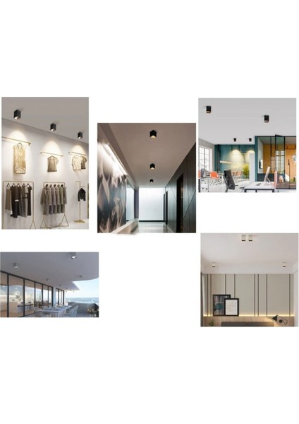 Tapled Aydınlatma CT-5420 Foça 7 Watt Ledli Siyah Platin Renk Sıva Üstü Dekoratif Spot LED 7 Watt fiyatları