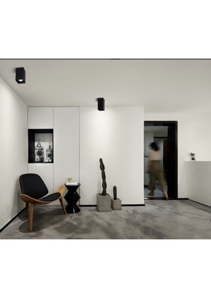Tapled Aydınlatma CT-5420 Foça 7 Watt Ledli Siyah Platin Renk Sıva Üstü Dekoratif Spot LED 7 Watt