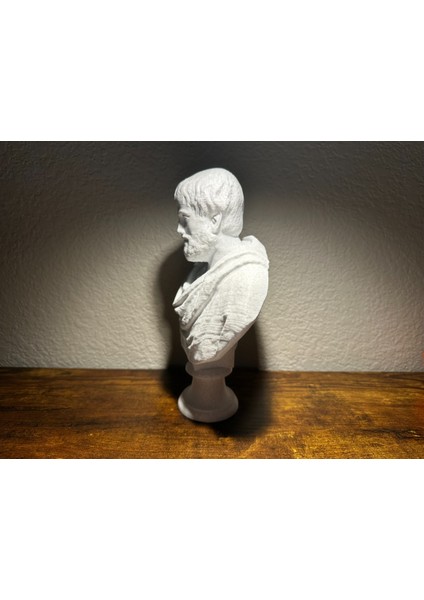 Aristoteles Büstü modelleri