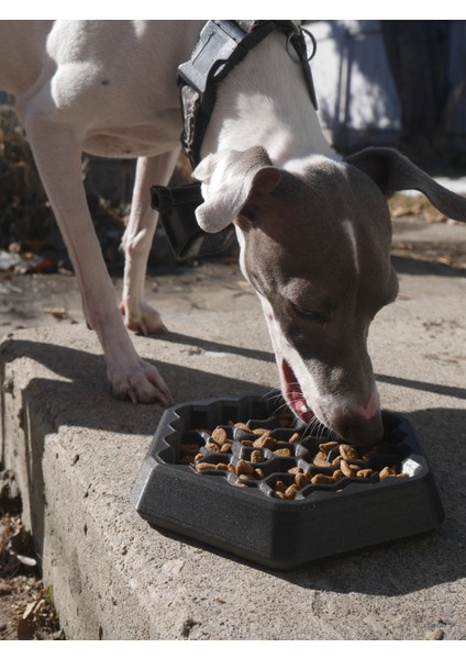Köpekler/kediler Için Yavaş Yem Labirent Kase