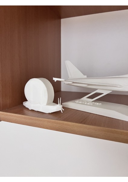 Basit Salyangoz modelleri