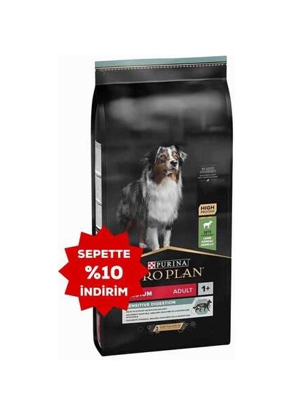 Medium Kuzu Etli Orta Irk Yetişkin Köpek Maması 10KG
