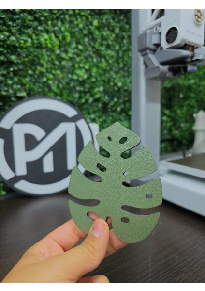 Yaprak Coaster modelleri