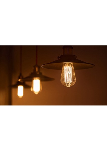 CT-4350 Rustik 4W LED Ampul Vintage Uzun Filament Amber E-27 Gün Işığı E27 Rustik Ampul 6 Watt Kahve fırsatları