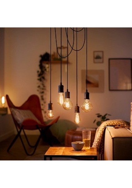 CT-4350 Rustik 4W LED Ampul Vintage Uzun Filament Amber E-27 Gün Işığı E27 Rustik Ampul 6 Watt Kahve indirimleri