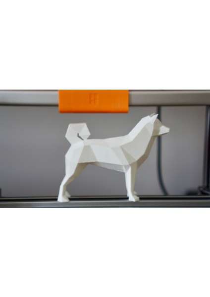 Düşük Poli Shiba Inu (Köpek) modelleri