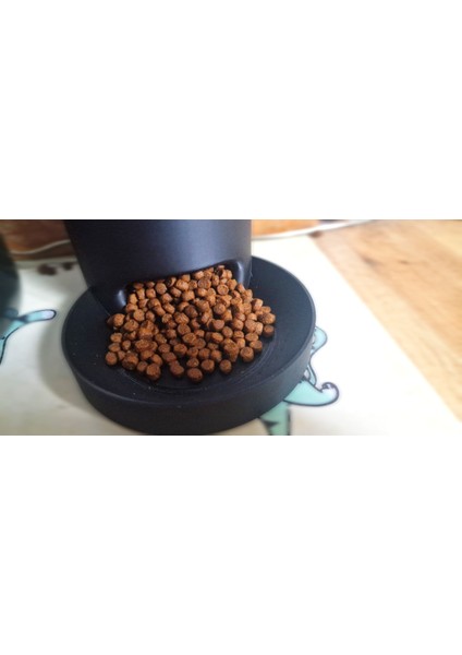 Eko-Küçük Porsiyon Pet Besleyici fırsatları