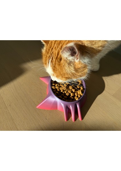 Cat Bowl - Cat Head Tasarımında