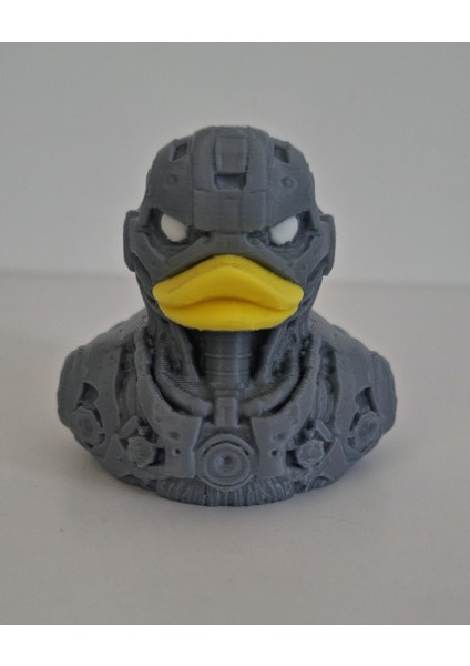 Robot Ördek modelleri