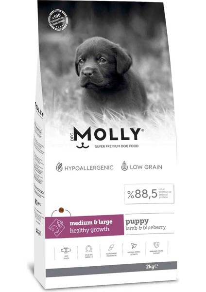 Kuzulu Yabanmersinli Orta ve Büyük Irk Yavru Köpek Maması 2kg