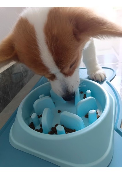 Evcil Hayvan Malzemeleri Köpek Yavaş Yemek Kasesi modelleri