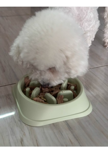 Evcil Hayvan Malzemeleri Köpek Yavaş Yemek Kasesi fırsatları