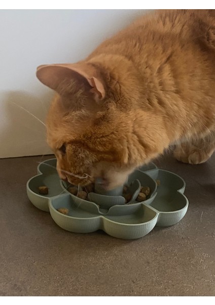 Pet Slow Besleyici fırsatları