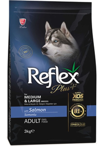 Plus Somonlu Orta ve Büyük Irk Yetişkin Köpek Maması 3kg