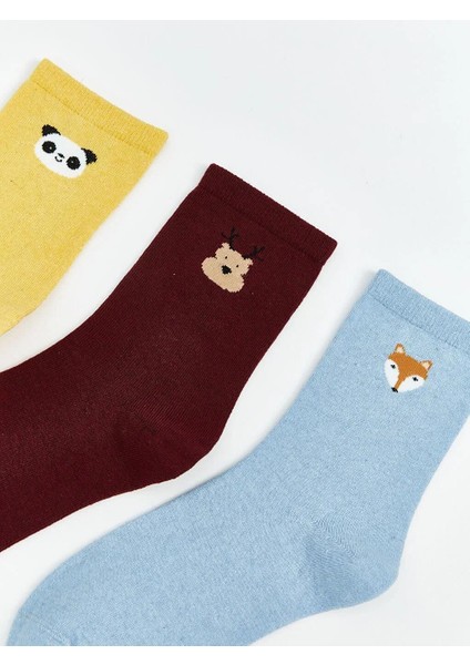 Baskılı Kadın Soket Çorap 3'lü (W5) fiyatları