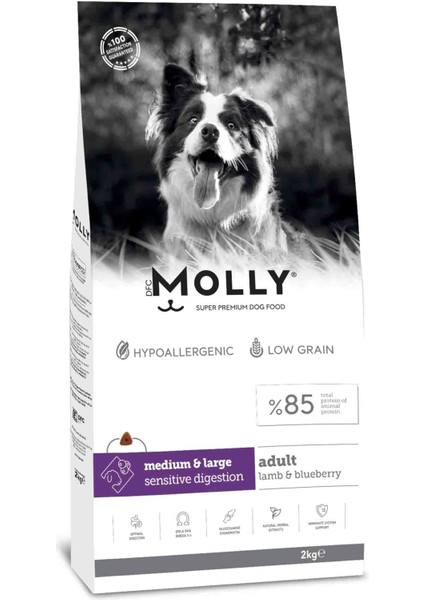 Kuzulu Yabanmersinli Orta ve Büyük Irk Yetişkin Köpek Maması 2kg