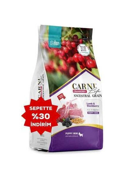Life Cranberry Ancestral Grain Kuzu ve Böğürtlen Mini Irk Yavru Köpek Maması 2,5kg