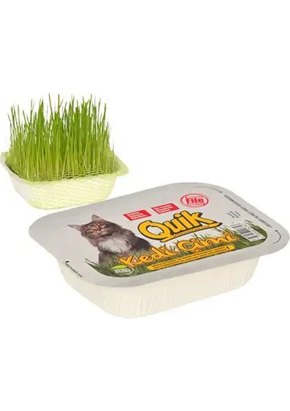 Doğal Kedi Çimi (Fileli)