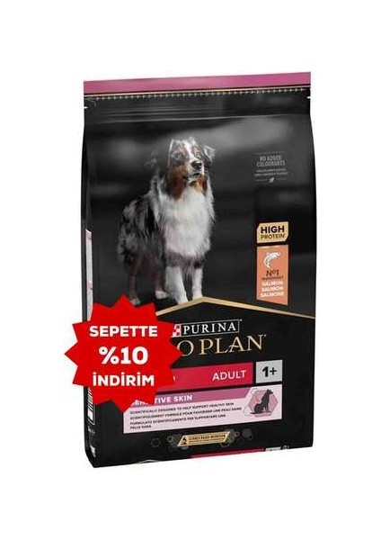 Somonlu Orta Irk Hassas Derili Yetişkin Köpek Maması 14KG