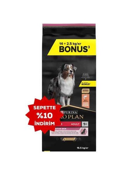 Somonlu Orta Irk Hassas Derili Yetişkin Köpek Maması 14KG + 2,5kg