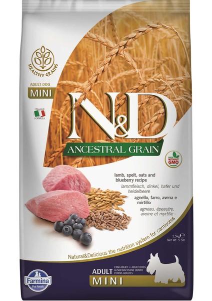 Nd Ancestral Grain Düşük Tahıllı Kuzu Eti ve Yaban Mersinili Küçük Irk Yetişkin Köpek Maması 2,5kg