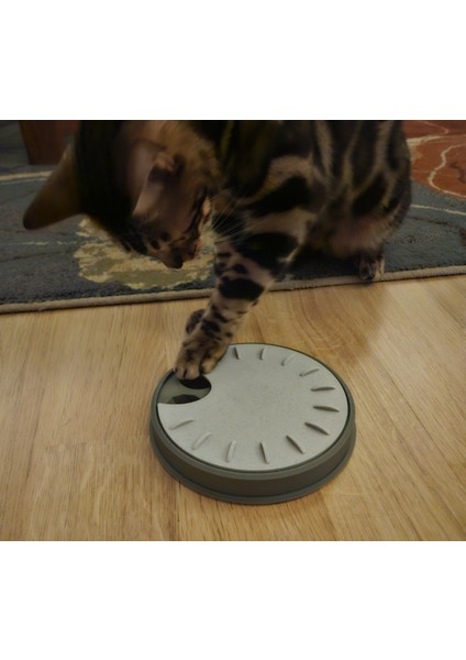 Tekerlek Kedi Bulma Besleyicisini Tedavi Edin