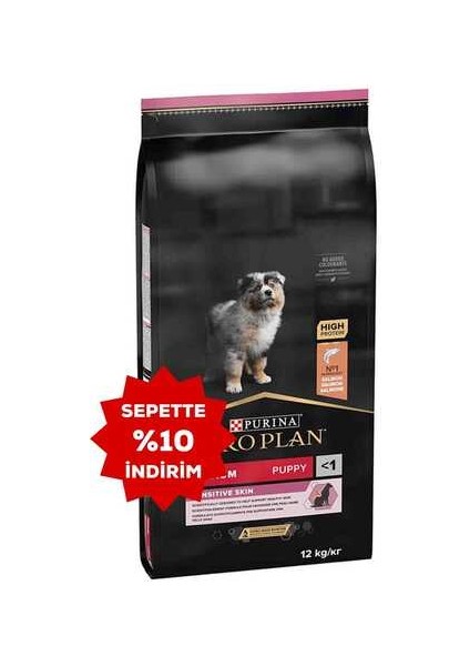 Puppy Somonlu Orta Irk Hassas Derili Yavru Köpek Maması 12KG