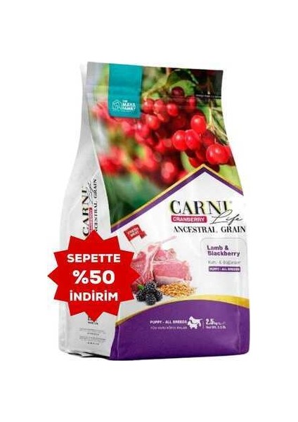 Life Cranberry Ancestral Grain Kuzu ve Böğürtlen Tüm Irklar Için Yavru Köpek Maması 2.5kg