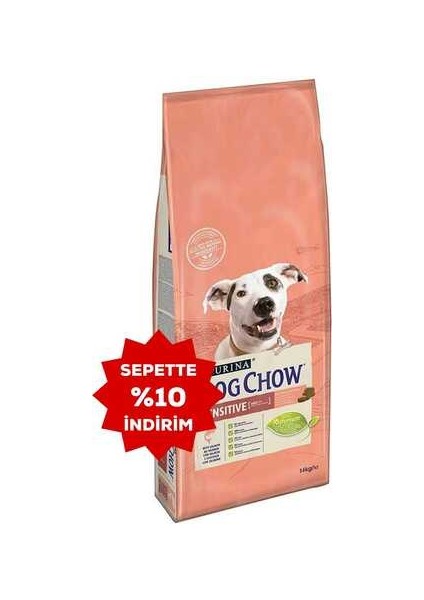 Hassas Köpekler Için Somonlu Yetişkin Köpek Maması 14KG