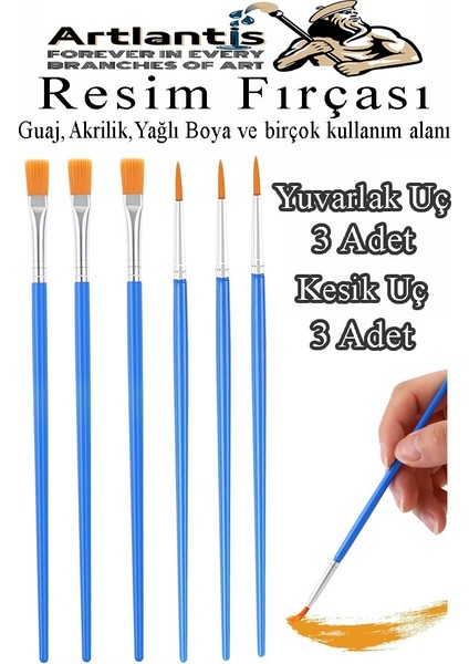 Resim Fırçası Kesik ve Yuvarlak Uçlu 6 Adet Sentetik Fırça Ekonomik Suluboya Akrilik Boya Guaj Boya Yağlı Boya Resim
