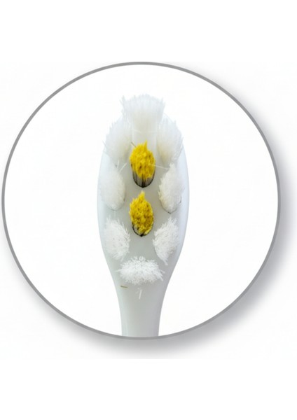 Soft Care Extra Yumuşak Diş Fırçası | Yüksek Kıl Yoğunluğu ( 12000 Kıl ) | Anti-Kayma Sap