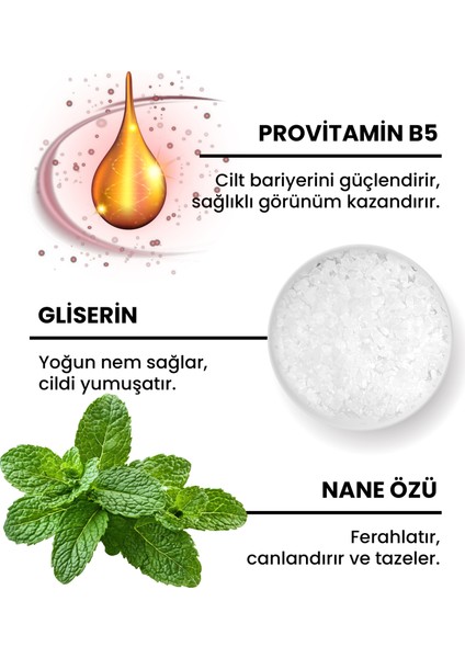 Nane Özlü Kremsi Vücut Temizleyici modelleri