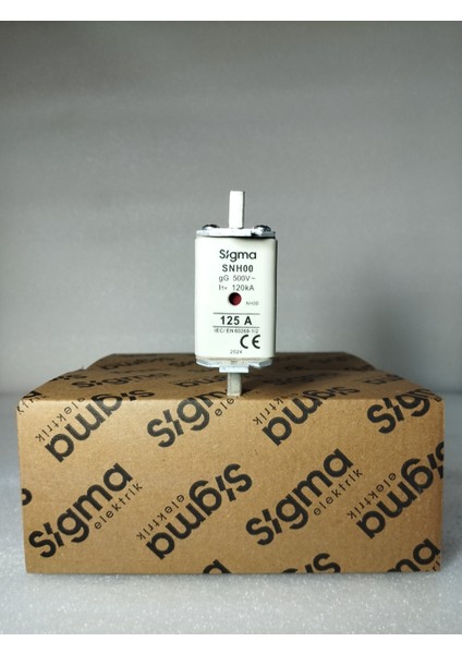 SNH00I0160 Çift Göstergeli Bıçaklı Sigorta 125A 120kA